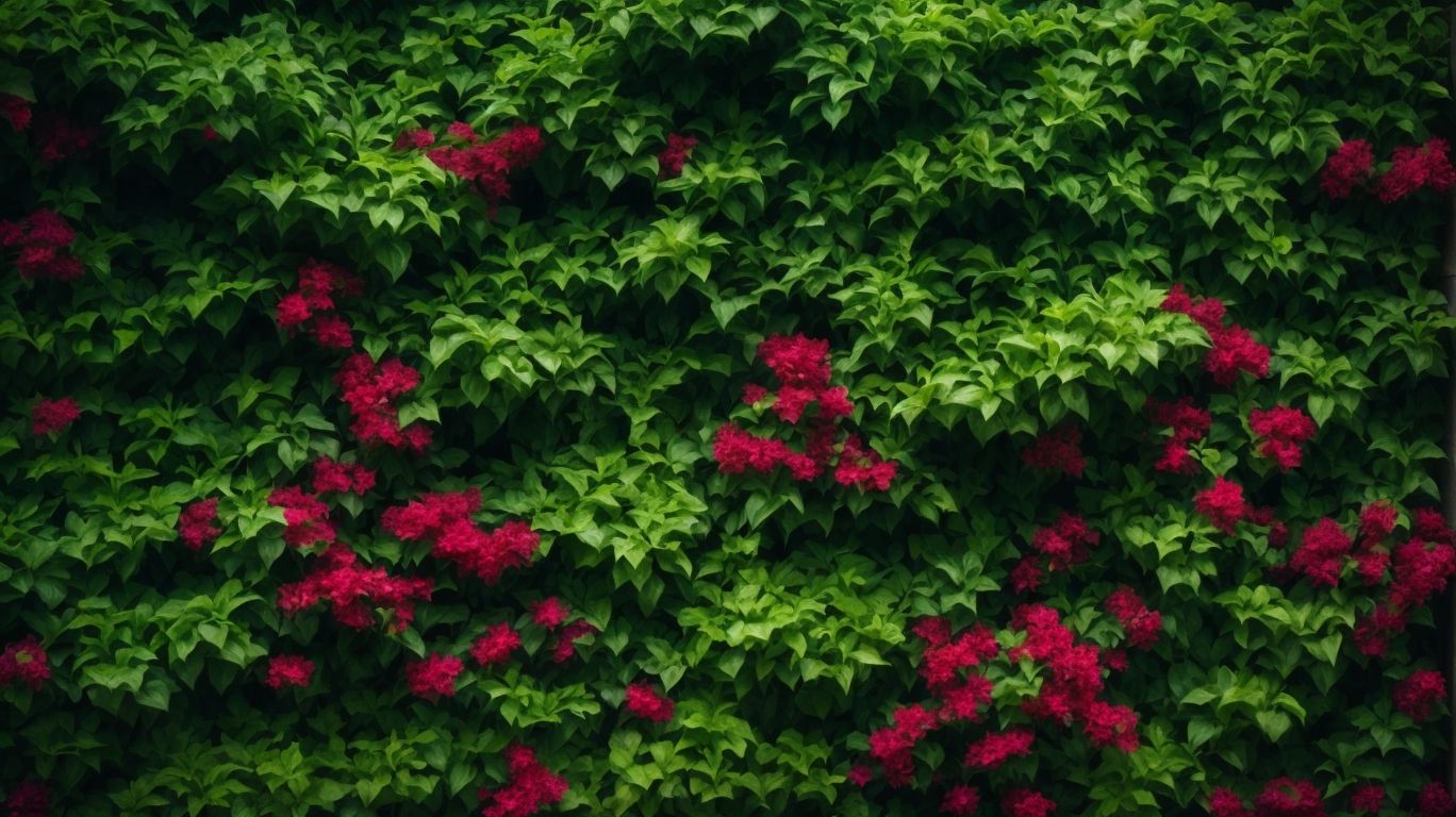 The Role of Vertical Gardens in Improving Air Quality